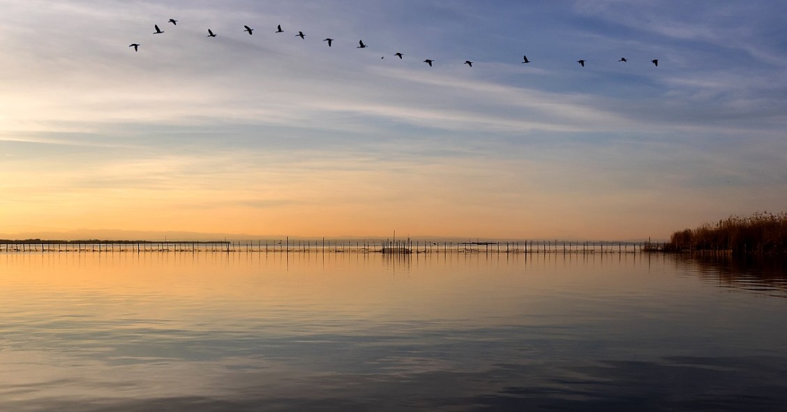 albufera