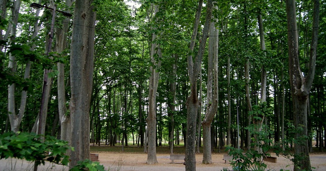 devesa