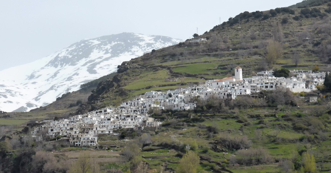 pampaneira