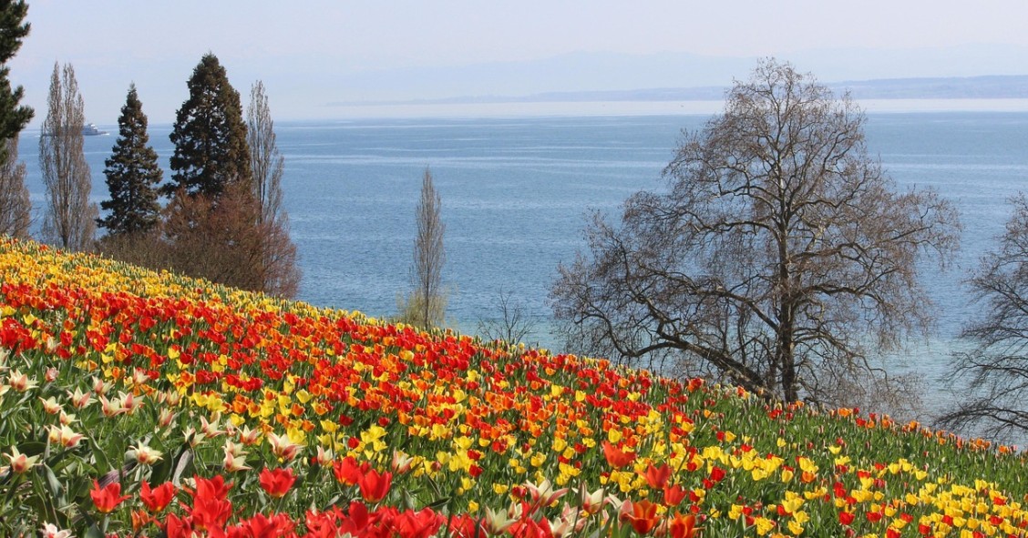 mainau