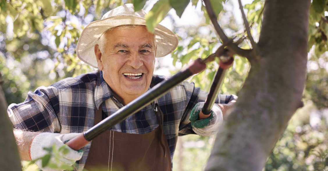 Puede la comunidad de propietarios cortar un árbol del jardín comunitario si eso me perjudica?? 