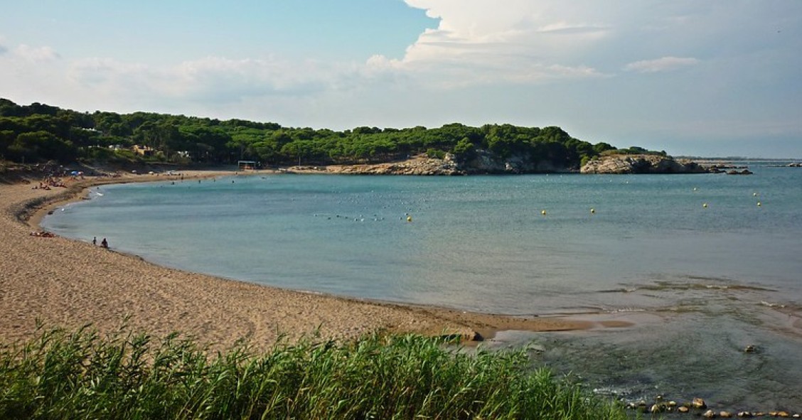 platges per a gossos a la costa brava