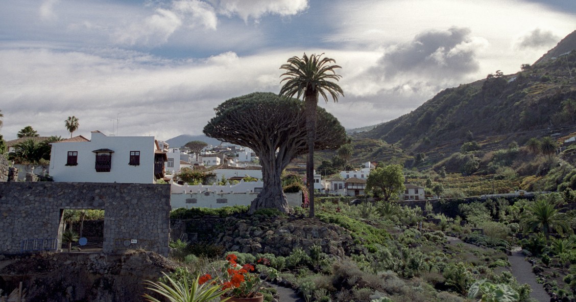 Day trip from Puerto de la Cruz