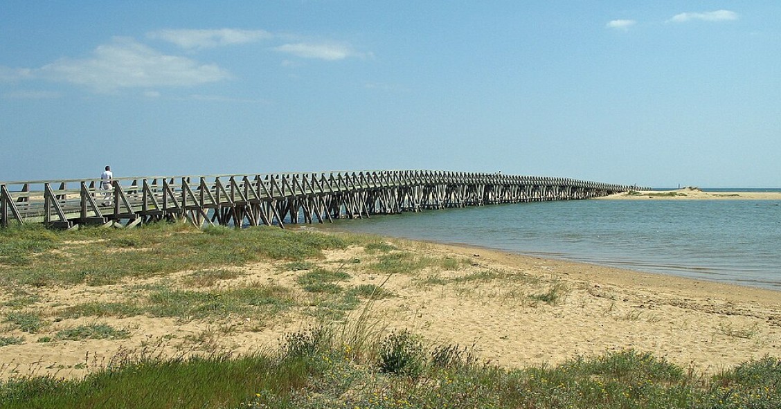 playas para perros en huelva