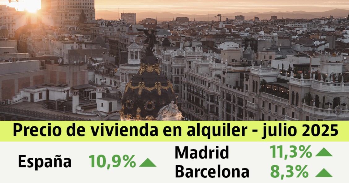 informe idealista