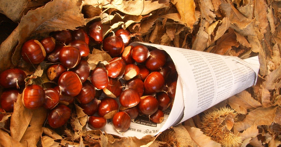 Chestnut festivals Spain