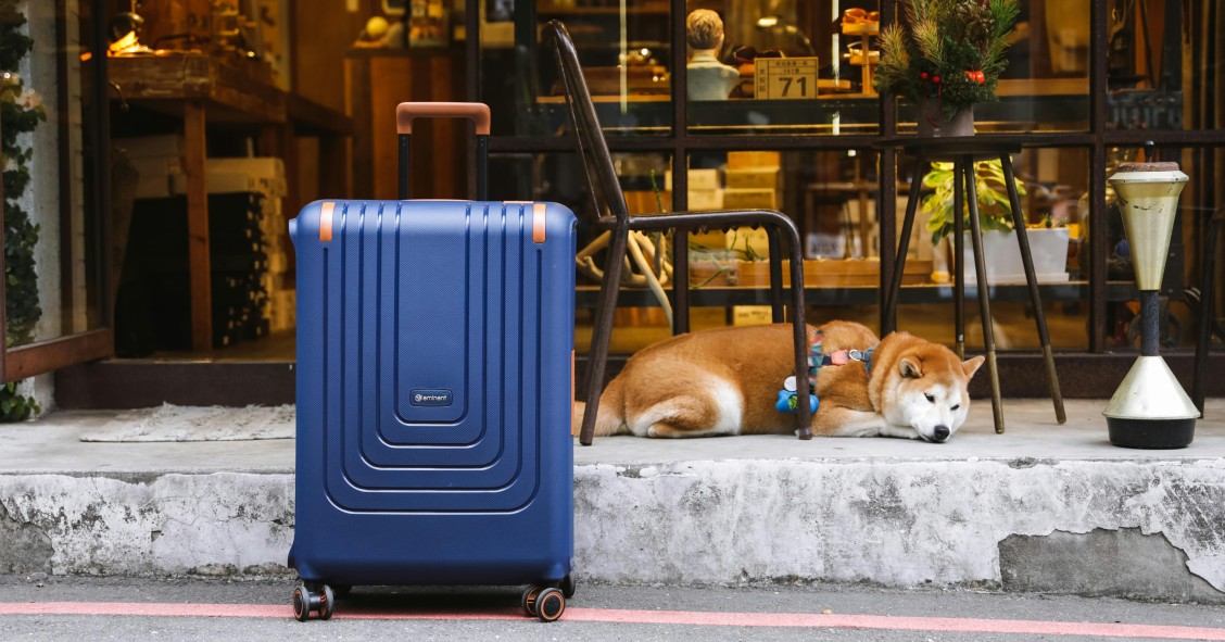 Perro tumbado junto a una maleta