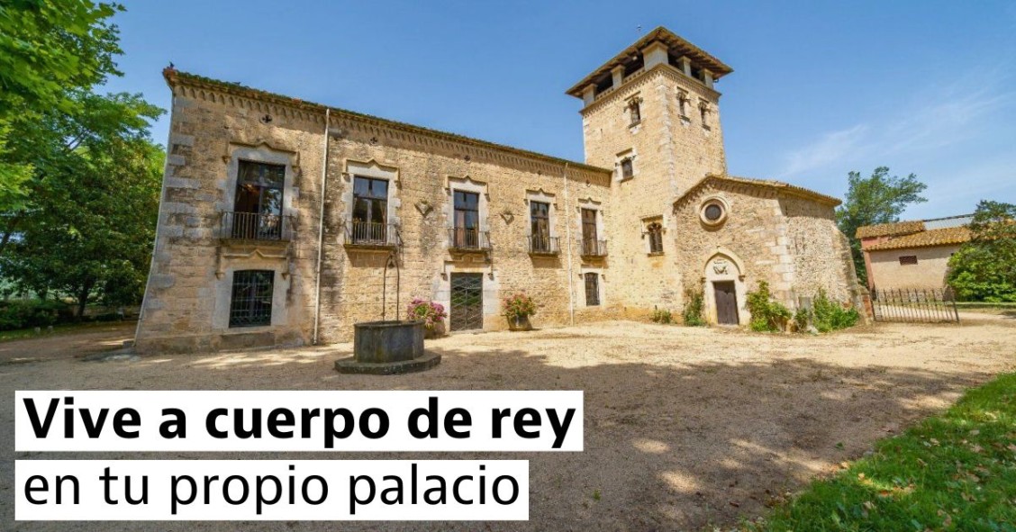 Castillos y palacios en venta