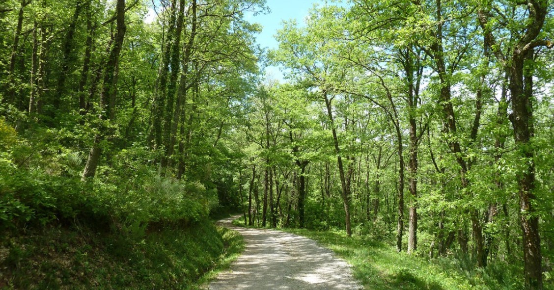 Ruta entre Cantabria y Burgos