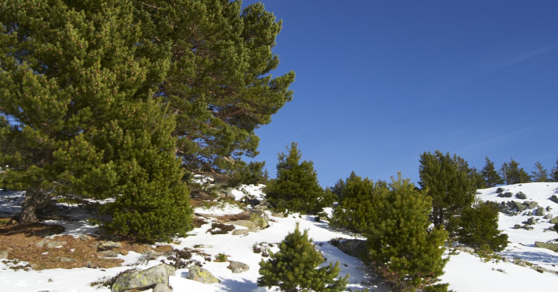 estacion de esqui mas pequeña de españa
