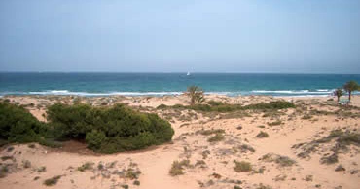 Los alquileres “en negro” abundan en la costa española