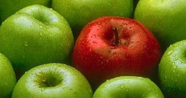 12 consejos para elegir la inmobiliaria adecuada