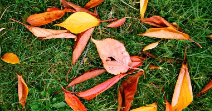 Los jóvenes españoles de hoy: la generación decepcionada