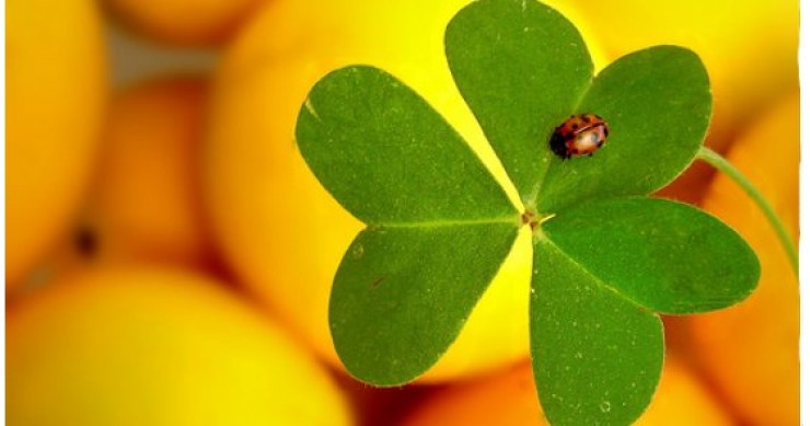 El Euribor, el gran aliado de las familias en un año de crisis - resumen 2009