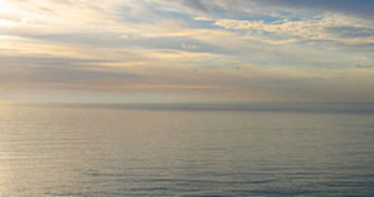 Previsión Euribor febrero 2010