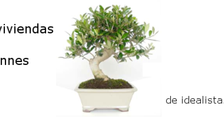 Las 100 casas que más tiempo llevan anunciadas en idealista.com (y sus errores)