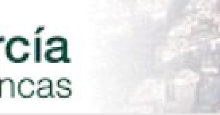 “tenemos colas de gente esperando a ver los pisos en venta”