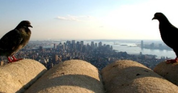 ¿Vendes tu casa? 5 formas de causar una buena impresión al comprador