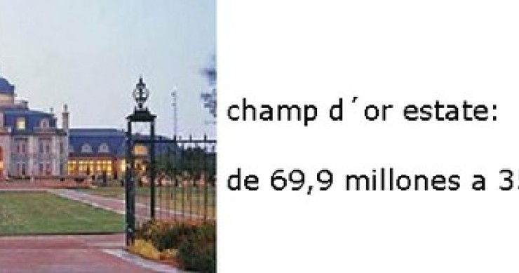 Champ d'or estate, uno de los mayores descuentos inmobiliarios de la historia (fotos)