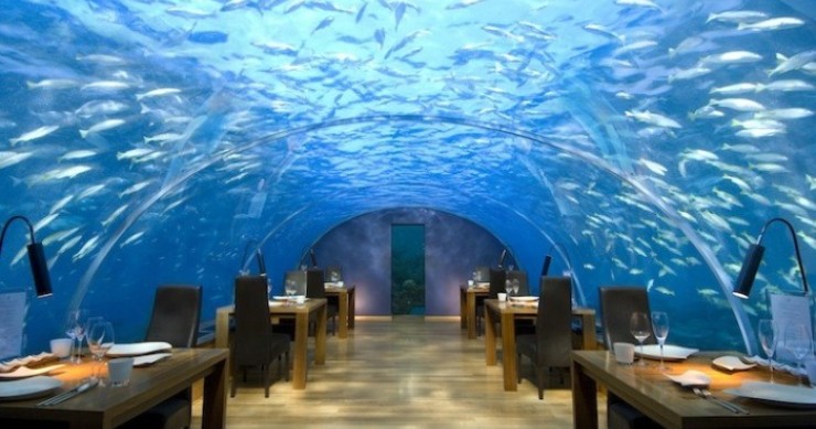 Hotel conrad maldives: para cenar bajo las aguas del océano índico 