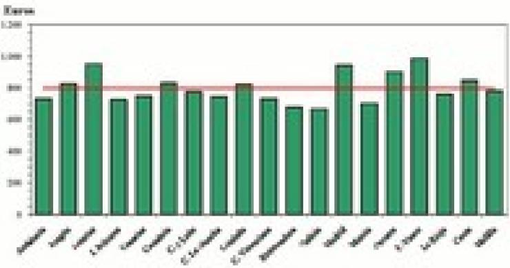 La pensión media de jubilación en España se sitúa en 917,53 euros, un 3,5% más
