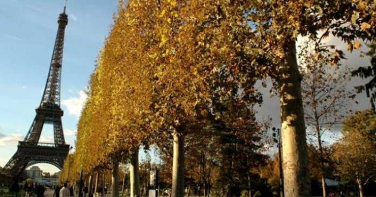2011, el último año de ‘vacas gordas’ para el sector inmobiliario en Francia
