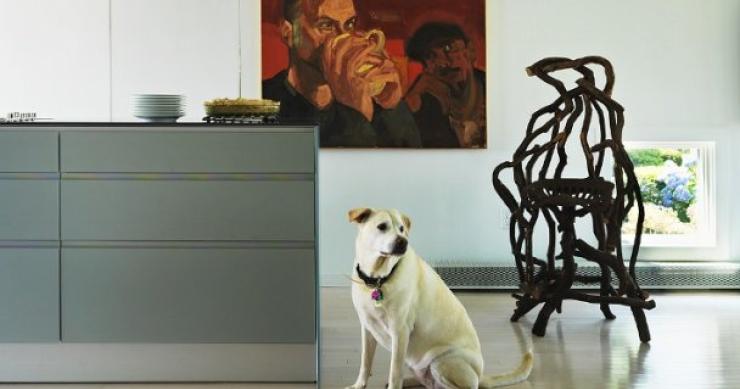 ¿Puedo meter un perro en el piso de alquiler?