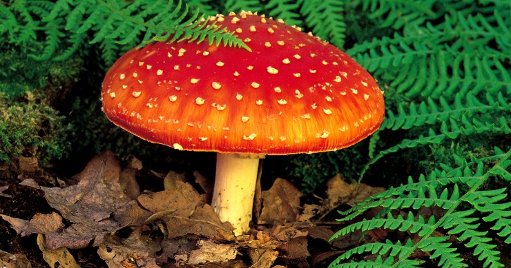 5 agujeros de la nueva ley anti desahucios