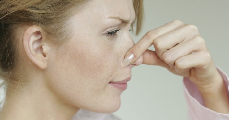  Consejos para que la visita salga perfecta, ¡Cuidado con los olores!