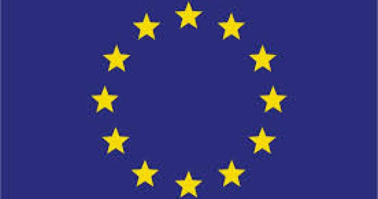  ¿Cómo es el contrato único que propone Europa?