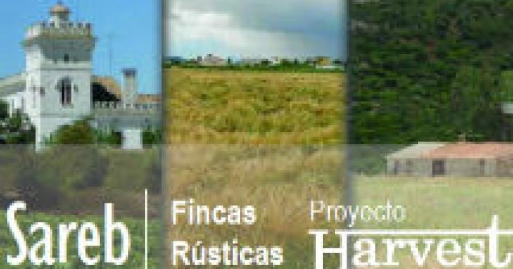 Sareb pone a la venta 22 fincas rústicas con descuentos de hasta el 50%
