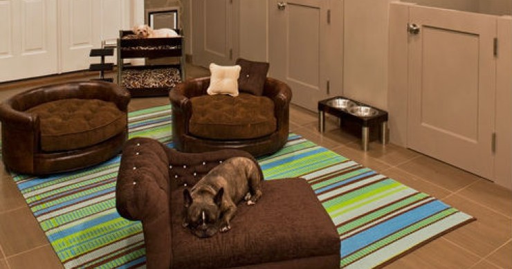 Ideas de decoración: cómo crear un espacio para las mascotas (fotos)