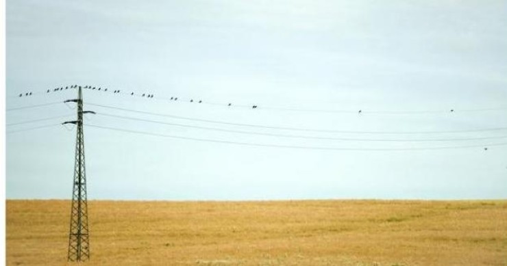 El supremo aclara que el suelo Urbano donde no se haya construido pagará ibi como si fuera rústico