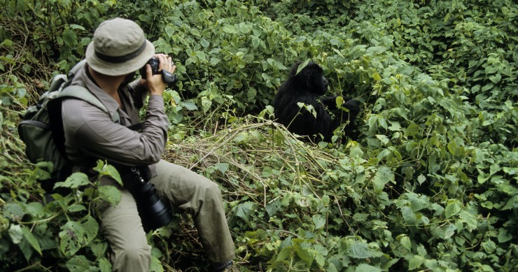 Vinculaciones hipotecarias, una especie “en peligro de extinción”