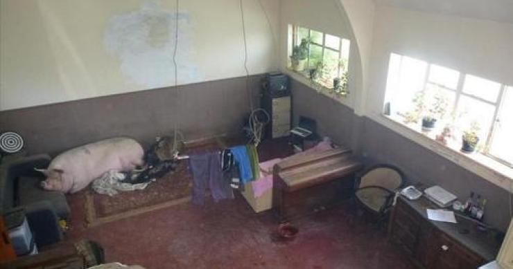 Así no vas a vender tu casa: 26 imágenes de anuncios inmobiliarios que espantarían a cualquier comprador (fotos)