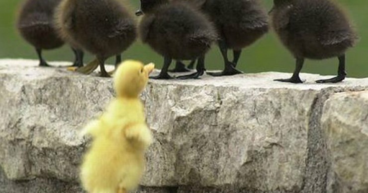 ¿Quiénes son los grandes excluidos de las hipotecas?