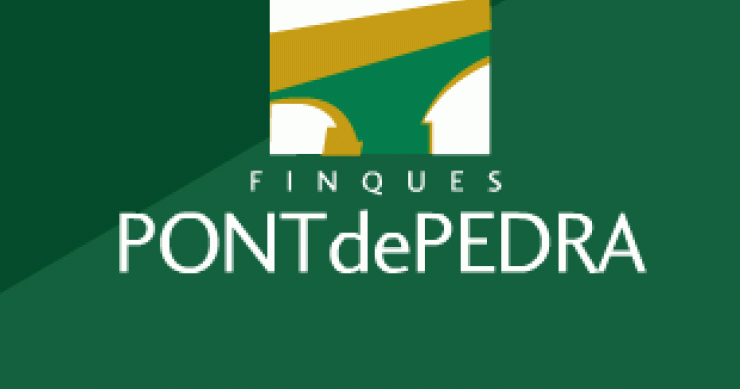 ¿Recuperación de la vivienda? A las inmobiliarias de calle aún no ha llegado