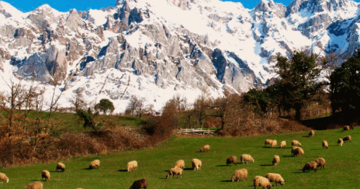 A la venta un pueblo con espectaculares vistas a los picos de Europa por 850.000 euros negociables (fotos)