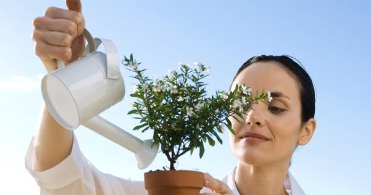 Los 10 consejos (financieros) para tener una jubilación sin sobresaltos