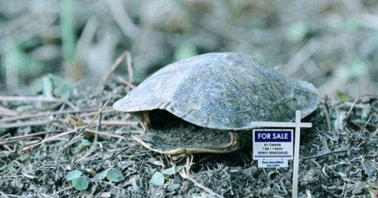 ¿Se puede vivir en una casa de menos de 35 m2?