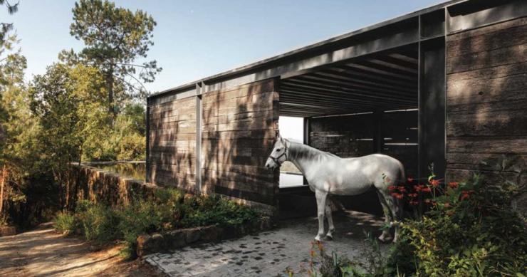 Casas de ensueño: el rancho perfecto para un ‘cowboy’ moderno (fotos)