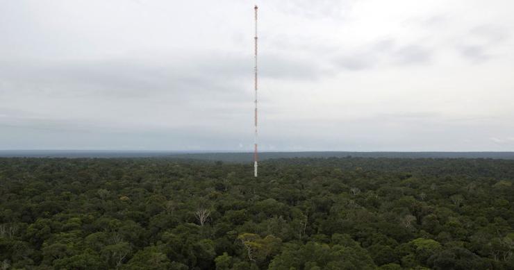  La torre más alta de Sudamérica está en medio de la selva del Amazonas (fotos)