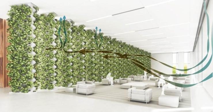 Los edificios del futuro harán que estés más sano gracias a las bacterias