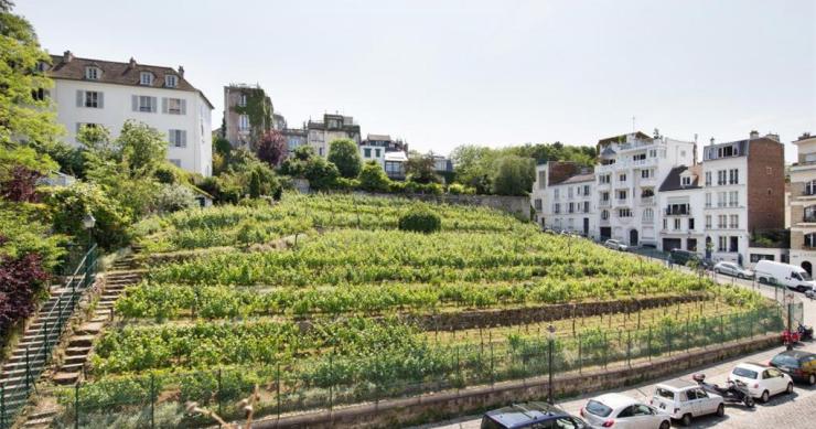 Casas de ensueño: una mansión con vistas a un viñedo en el centro de París