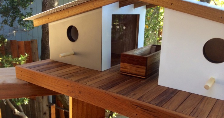 9 nidos para pájaros que ‘molan’ más que tu propia casa