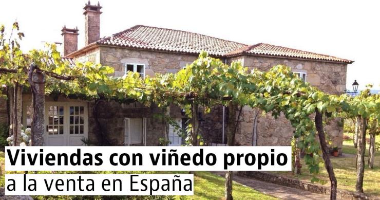 Casas con viñedo a la venta en toda España