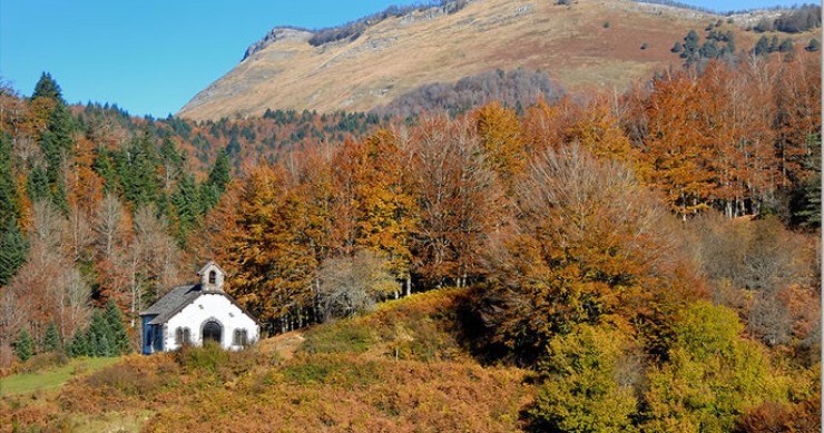 Selva de Irati