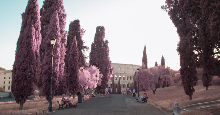 Roma, de color de rosa: la Ciudad Eterna vista a través de una cámara de infrarrojos