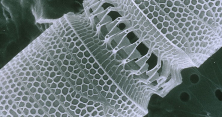 Nanotecnología de andar por casa: hay más ciencia en tu hogar de lo que creías