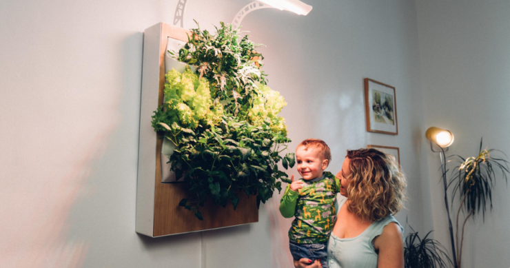 Cómo montar un huerto en tu pequeño (y poco luminoso) piso de ciudad